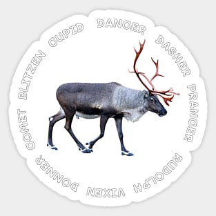 All Santas reindeer Sticker